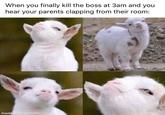 When you finally kill the boss at 3am and you hear your parents clapping from their room: made with mematic