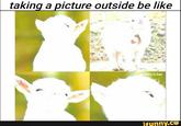 taking a picture outside be like nxiety.is.bae ifunny.co