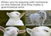 When you're arguing with someone on the Internet and they make a grammatical error