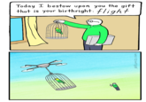 Today I bestow upon you the gift that is your birthright: flight pbfcomics.com