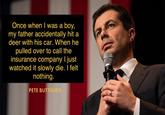 Once when I was a boy, my father accidentally hit a deer with his car. When he pulled over to call the insurance company I just watched it slowly die. I felt nothing. PETE BUTTIGIEG