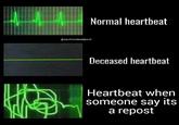 44 Normal heartbeat @sachinxdeadpool Deceased heartbeat Heartbeat when someone say its a repost
