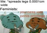 Me: *spreads legs 0.0001cm wide Feminists: you' nave loST penis privilegey