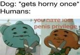 Dog: *gets horny once* Humans: +you'have lOST penis privilege