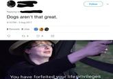 dogs aren't that great Follow Replying to Dogs aren't that great. 9:16 PM -3 Aug 2017 2 Retweets 3 Likes t7 2 You have forfeited your life privileges