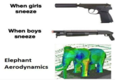 When girls sneeze When boys sneeze Elephant Aerodynamics