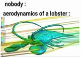 nobody: the aerodynamics of a lobster heat transfer and drag