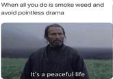 When all you do is smoke weed and avoid pointless drama It's a peaceful life