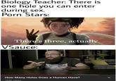 Biology Teacher: There is one hole you can enter during sex. P--- Stars: There's three, actually VSauce: u/Yaboi_lis How Many Holes Does a Human Have? 103K views