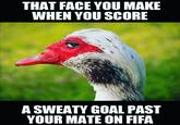 THAT FACE YOU MAKE WHEN YOU SCORE A SWEATY GOAL PAST YOUR MATE ON FIFA