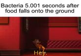 Bacteria 5.001 seconds after food falls onto the ground Неу.