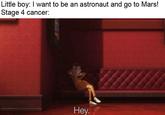 Little boy: I want to be an astronaut and go to Mars! Stage 4 cancer: Hey.