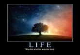 LIFE Way too short or way too long. Sky Nature Natural landscape Text Atmosphere Tree Atmospheric phenomenon Night Darkness