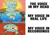 THE VOICE IN MY HEAD MY VOICE IN REAL LIFE MY VOICE IN RECORDINGS