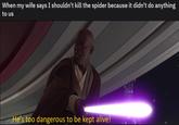 When my wife says I shouldn't kill the spider because it didn't do anything to us He's too dangerous to be kept alive!