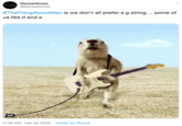 ManeatGrass @ManeatGrass · Feb 24 #TheThingAboutMen is we don’t all prefer a g string ... some of us like d and e gif of a rodent playing guitar