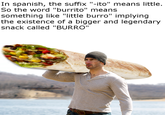 In spanish, the suffix "-ito" means little. So the word "burrito" means something like "little burro" implying the existence of a bigger and legendary snack called "BURRO"