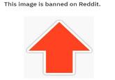This image is banned on Reddit.