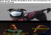Pet Dog Tests Positive For Coronavirus In Hong Kong Coronavirus And now, you have officially carried it too far, Buddy.