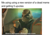 Me using using a new version of a dead meme and getting 5 upvotes Observe, my superior strategic mind at work
