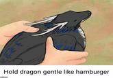 Hold dragon gentle like hamburger
