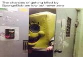 The chances of getting killed by SpongeBob are low but never zero CYTRAL