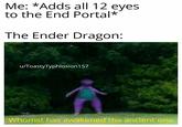Me: *Adds all 12 eyes to the End Portal* The Ender Dragon: u/ToastyTyphlosion157 Whomst has awakened the ancient one