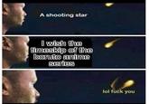 A shooting star I wish the timeskip of the boruto anime series lol f--- you