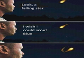 Look, a falling star I wish I could scout Blue