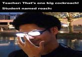 Teacher: That's one big cockroach! Student named roach: