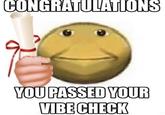CONGRATULATIONS YOU PASSED YOUR VIBE CHECK