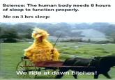 Science: The human body needs 8 hours of sleep to function properly. Me on 3 hrs sleep: HMAO We ride at dawn bitches!