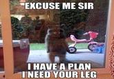 EXCUSE ME SIR I HAVE A PLAN INEED YOUR LEG