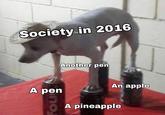 Society in 2016 Another pen An apple A pen A pineapple