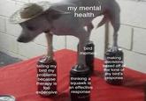 my mental health bird memes making decisions based off of telling my bird my problems because the tone of my bird's response therapy is too thinking a squawk is an effective expensive response