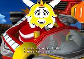 I miss my wife, Tails. I miss her a lot.