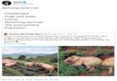 Neens @ninasophia81 Winning 2020 List: - Disinfectant - Soap and water - Lotion - Streaming Services - The environment - Elephants? Corono she better don't @Spilling_The_T Mar 18 While humans carry out social distancing, a group of 14 elephants broke into a village in Yunan province, looking for corn and other food. They ended up drinking 30kg of corn wine and got so drunk that they fell asleep in a nearby tea garden. Show this thread 9:27 PM - Mar 18, 2020 · Twitter for iPhone
