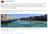 Natasha Daly @natashaldaly This week, a bunch of news about animals returning to deserted, quarantined places went viral on Twitter. Dolphins and swans in Venice; elephants getting drunk in a Chinese village. The stories, although happy, weren't true! My story on the phenomenon: Fake animal news abounds on social media as coronavirus upends life Bogus stories of wild animals flourishing in quarantined cities gives false hope- and viral fame. 9 nationalgeographic.com 10:20 AM - Mar 20, 2020 · Twitter Web App