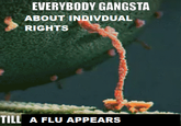 EVERYBODY GANGSTA ABOUT INDIVDUAL RIGHTS TILL A FLU APPEARS