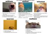 The online school starter pack (second time this got removed) | /r/starterpacks  william The online school starter pack walter winston logs onto zoom 15 late always has technical difficulties • doesn't know the difference between • logs onto zoom 15 minutes before class starts • always helps with tech problems • dresses well even for online in a library or some academic setting • wants to participate but their feed is too slow to keep up • always loading zoom and sakai • asks everyone to repeat what they've when they do finally get the chance to said • nice shirt + pajama pants speak, no one can hear them bc their mic isn't working warren wallace • watches tv during class • shows up in their pajamas • loud eating • probably in bed • the camera is WAY too close to their face • might be in the wrong class? • always shows up for zoom • never participates • just watches the chaos that ensues