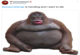 Camwoodstock @Camwoodstock #poopchallenge is trending and I want to die