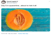 Everett Ingalls IV @Everettingalls4 Day 5 in quarantine...about to risk it all 123RF 123RF 23RF 10:44 AM · Mar 20, 2020 · Twitter Web App @123RF 123RF 23RF