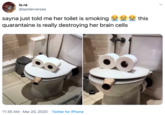 is.ra @spiderverses sayna just told me her toilet is smoking quarantaine is really destroying her brain cells this 11:35 AM · Mar 20, 2020 · Twitter for iPhone