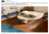 LFeeney @FeeneySPEDTeach When your oldest says all panicked, the toilet is smoking. You go running in and find this. Quarantine is going well over here. 9:09 AM - Mar 20, 2020 · Twitter for iPhone