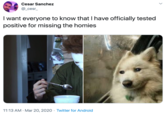 Cesar Sanchez @_cesr_ I want everyone to know that I have officially tested positive for missing the homies 11:13 AM · Mar 20, 2020 · Twitter for Android