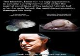 The blobfish, know for his ugly appearance, is actually a pretty normal fish under the normal conditions of his natural habitat, but when he gets fished, the rapid decompression damages his body in natural habitat 3,000+ feet below sea-level After extreme tissue damage from being pulled up rapidly by fishers Pa en .001 Look how they massacred my boy.