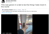 Brooks Otterlake @i_zzzzzz This was grown in a lab to be the thing I hate most in the world Jeremy Cohen @jerm_cohen · Mar 22 I can't believe this actually worked and yes this is a real story Show this thread 0:24 6.2M views TikTok nieremycoben