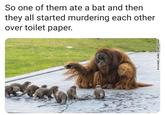 So one of them ate a bat and then they all started murdering each other over toilet paper. PASCALE JONES/PAIRI DAIZA