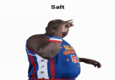 Salt HAL GUS