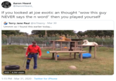 Aaron Heard @AaronHeard_ If you looked at joe exotic an thought "wow this guy NEVER says the n word" then you played yourself Terry Jane Paul @InThierry · Mar 30 Ummm so I found this earlier today. 0:05 4.5M views 1:15 PM - Mar 31, 2020 · Twitter for iPhone